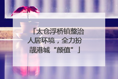 太仓浮桥镇整治人居环境，全力扮靓港城“颜值”