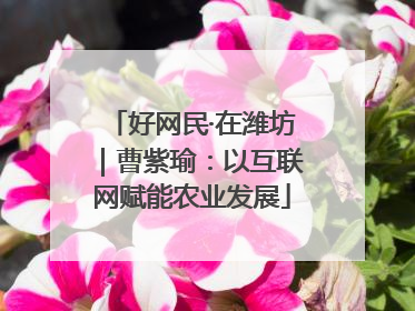 好网民·在潍坊｜曹紫瑜：以互联网赋能农业发展