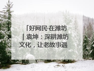 好网民·在潍坊｜袁坤：深耕潍坊文化，让老故事遇见新传播