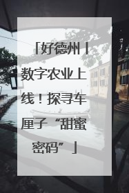 好德州丨数字农业上线！探寻车厘子“甜蜜密码”