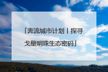 奔流城市计划丨探寻戈壁明珠生态密码