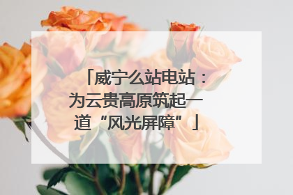 威宁么站电站：为云贵高原筑起一道“风光屏障”