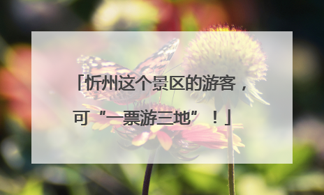 忻州这个景区的游客，可“一票游三地”！