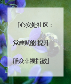 心安处社区：党建赋能 提升群众幸福指数