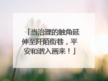 当治理的触角延伸至阡陌街巷，平安和谐入画来！