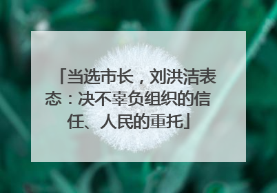当选市长，刘洪洁表态：决不辜负组织的信任、人民的重托