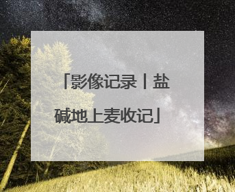 影像记录丨盐碱地上麦收记