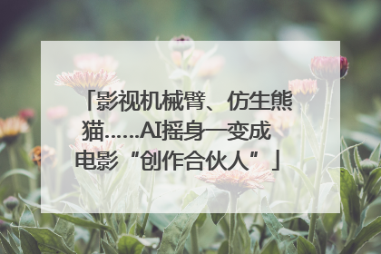 影视机械臂、仿生熊猫……AI摇身一变成电影“创作合伙人”