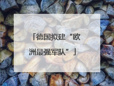 德国拟建“欧洲最强军队”