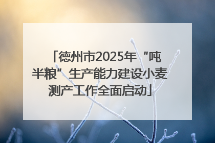 德州市2025年“吨半粮”生产能力建设小麦测产工作全面启动