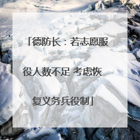 德防长：若志愿服役人数不足 考虑恢复义务兵役制