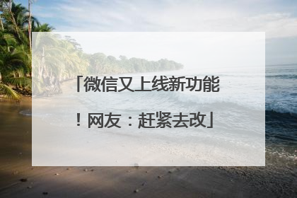 微信又上线新功能！网友：赶紧去改
