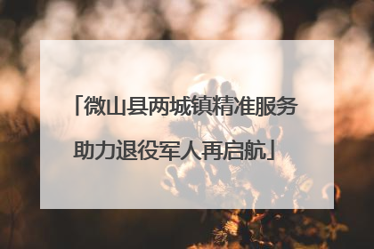 微山县两城镇精准服务助力退役军人再启航