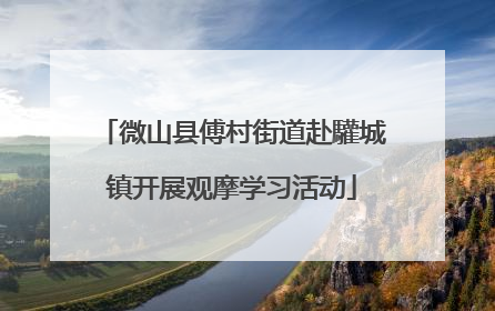 微山县傅村街道赴驩城镇开展观摩学习活动