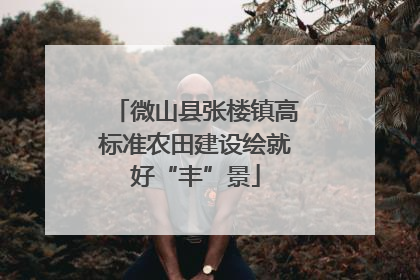 微山县张楼镇高标准农田建设绘就好“丰”景