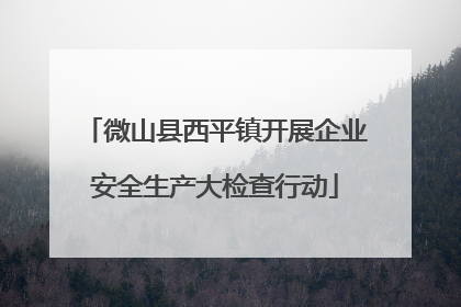 微山县西平镇开展企业安全生产大检查行动