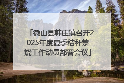 微山县韩庄镇召开2025年度夏季秸秆禁烧工作动员部署会议