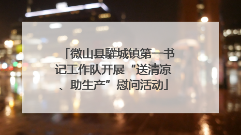 微山县驩城镇第一书记工作队开展“送清凉、助生产”慰问活动