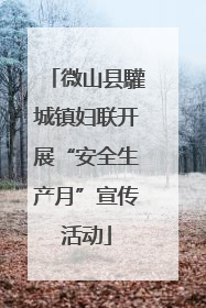 微山县驩城镇妇联开展“安全生产月”宣传活动