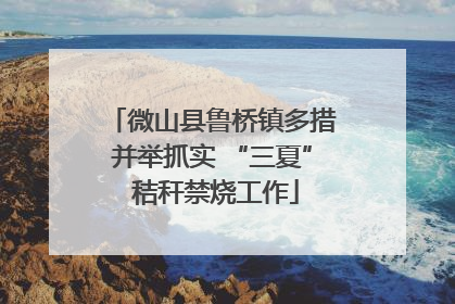 微山县鲁桥镇多措并举抓实 “三夏” 秸秆禁烧工作