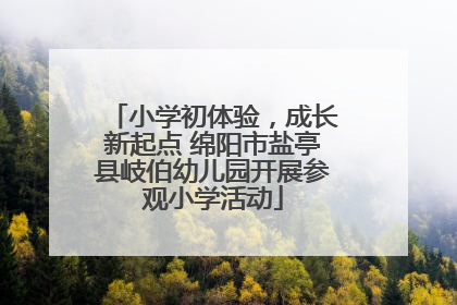 小学初体验，成长新起点 绵阳市盐亭县岐伯幼儿园开展参观小学活动