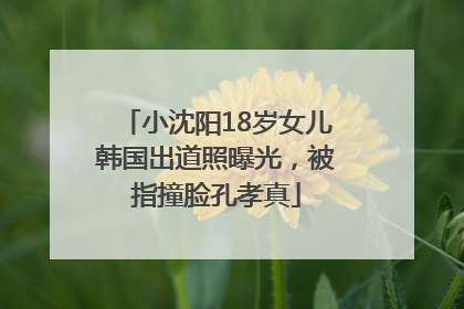 小沈阳18岁女儿韩国出道照曝光，被指撞脸孔孝真