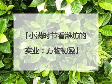 小满时节看潍坊的实业：万物初盈