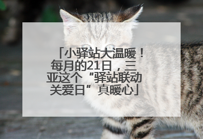 小驿站大温暖！每月的21日，三亚这个“驿站联动关爱日”真暖心