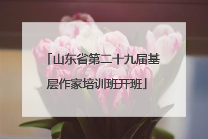 山东省第二十九届基层作家培训班开班
