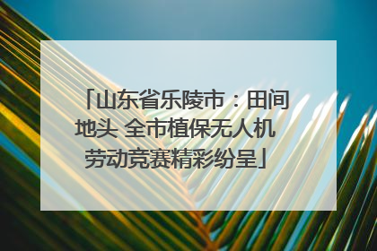 山东省乐陵市：田间地头 全市植保无人机劳动竞赛精彩纷呈