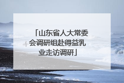 山东省人大常委会调研组赴得益乳业走访调研