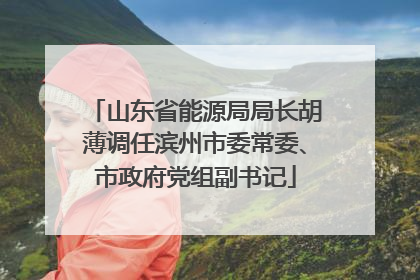山东省能源局局长胡薄调任滨州市委常委、市政府党组副书记