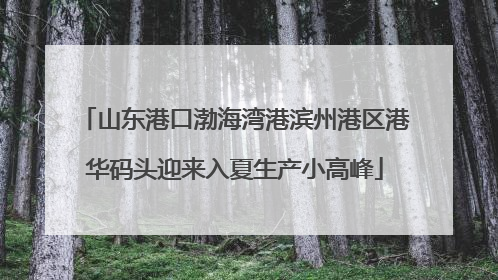 山东港口渤海湾港滨州港区港华码头迎来入夏生产小高峰