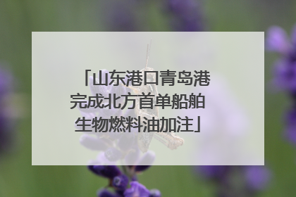 山东港口青岛港完成北方首单船舶生物燃料油加注