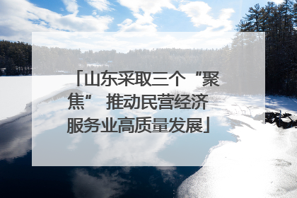 山东采取三个“聚焦” 推动民营经济服务业高质量发展