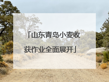 山东青岛小麦收获作业全面展开
