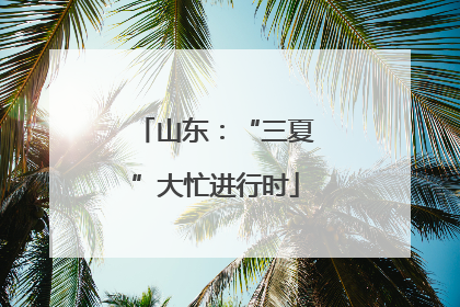 山东：“三夏”大忙进行时