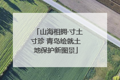 山海相拥·寸土寸珍 青岛绘就土地保护新图景