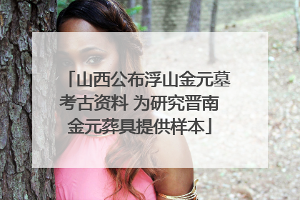 山西公布浮山金元墓考古资料 为研究晋南金元葬具提供样本