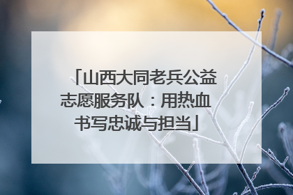 山西大同老兵公益志愿服务队：用热血书写忠诚与担当