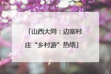 山西大同：边塞村庄“乡村游”热络