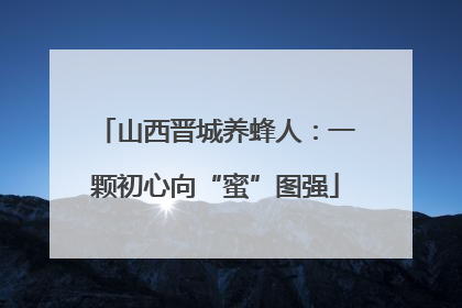 山西晋城养蜂人：一颗初心向“蜜”图强