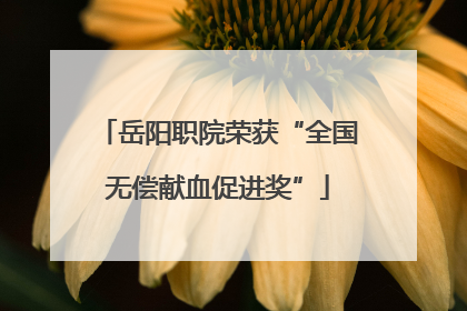 岳阳职院荣获“全国无偿献血促进奖”