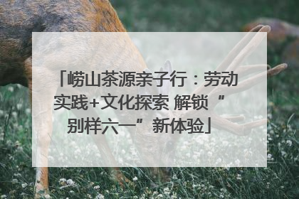 崂山茶源亲子行：劳动实践+文化探索 解锁“别样六一”新体验