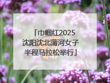 巾帼红2025沈阳沈北蒲河女子半程马拉松举行