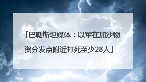 巴勒斯坦媒体：以军在加沙物资分发点附近打死至少28人