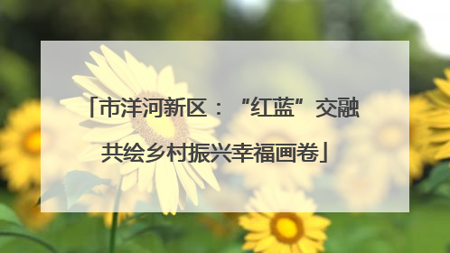 市洋河新区：“红蓝”交融 共绘乡村振兴幸福画卷