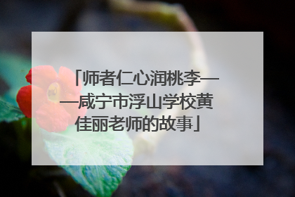 师者仁心润桃李——咸宁市浮山学校黄佳丽老师的故事
