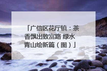 广信区花厅镇：茶香飘出致富路 绿水青山绘新篇（图）