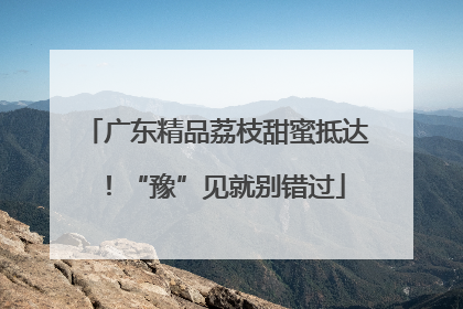 广东精品荔枝甜蜜抵达！“豫”见就别错过